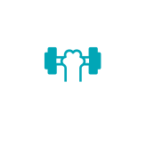 Muscle mass