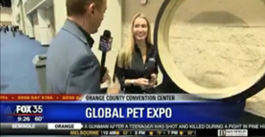 FOX TV LIVE