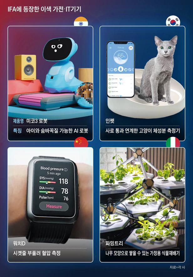 조선일보