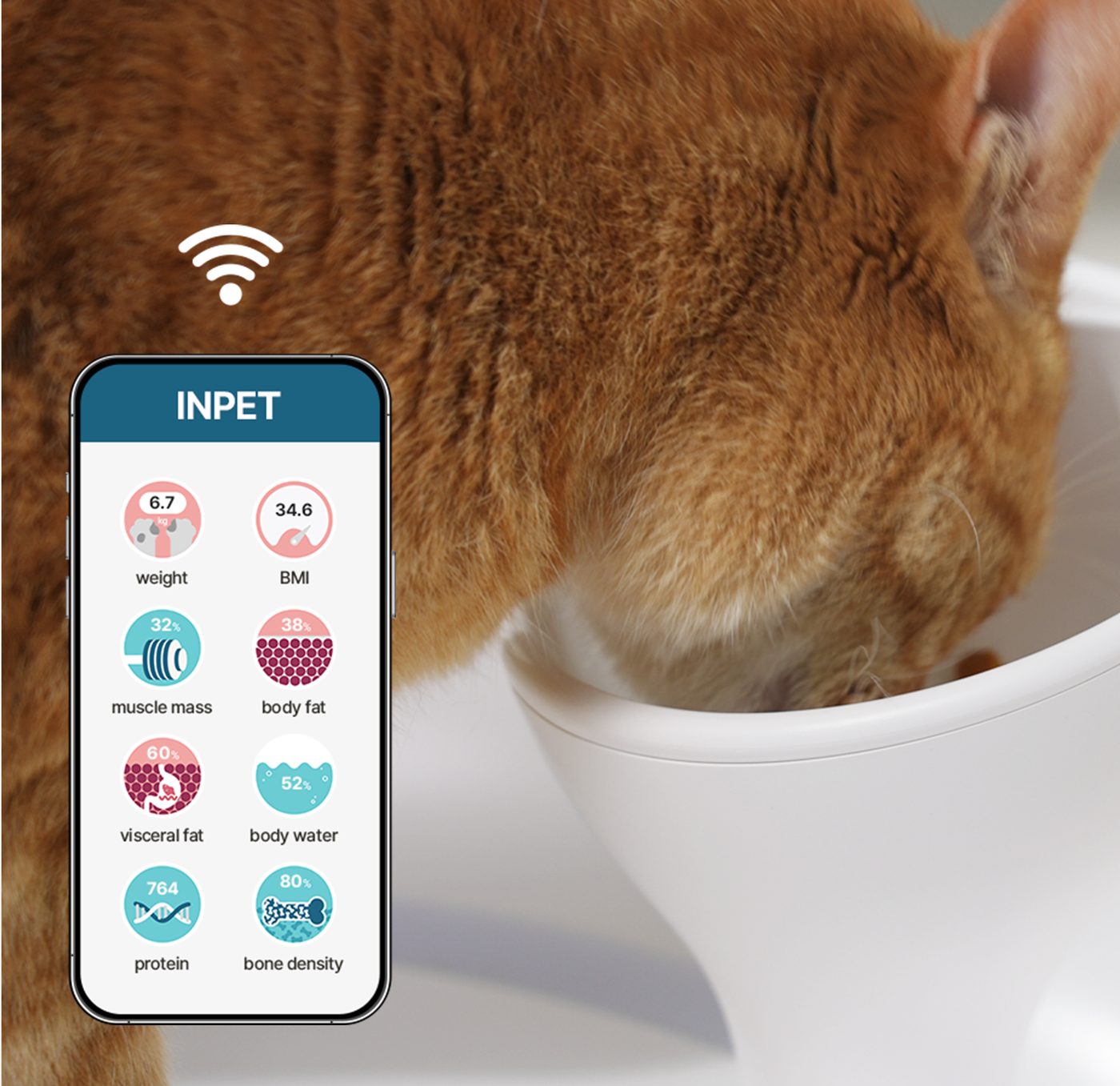 INPET
