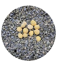 MEDI SAND
